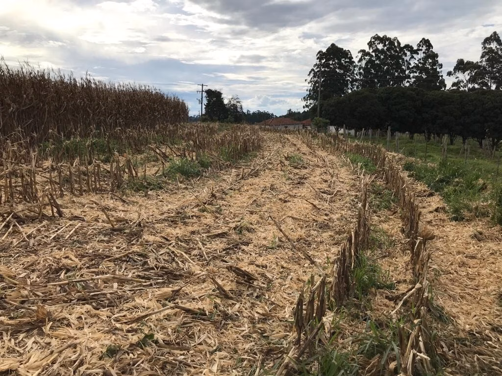 Fazenda de 116 ha em São Miguel Arcanjo, SP