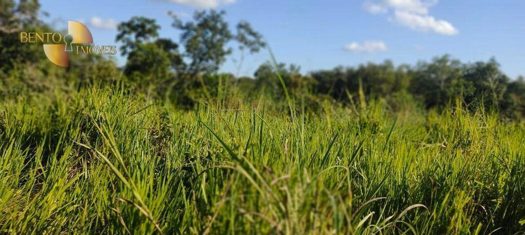 Fazenda de 277 ha em Diamantino, MT