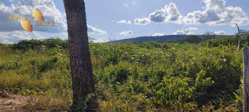 Fazenda de 277 ha em Diamantino, MT
