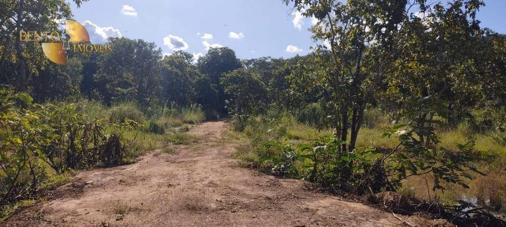 Fazenda de 277 ha em Diamantino, MT