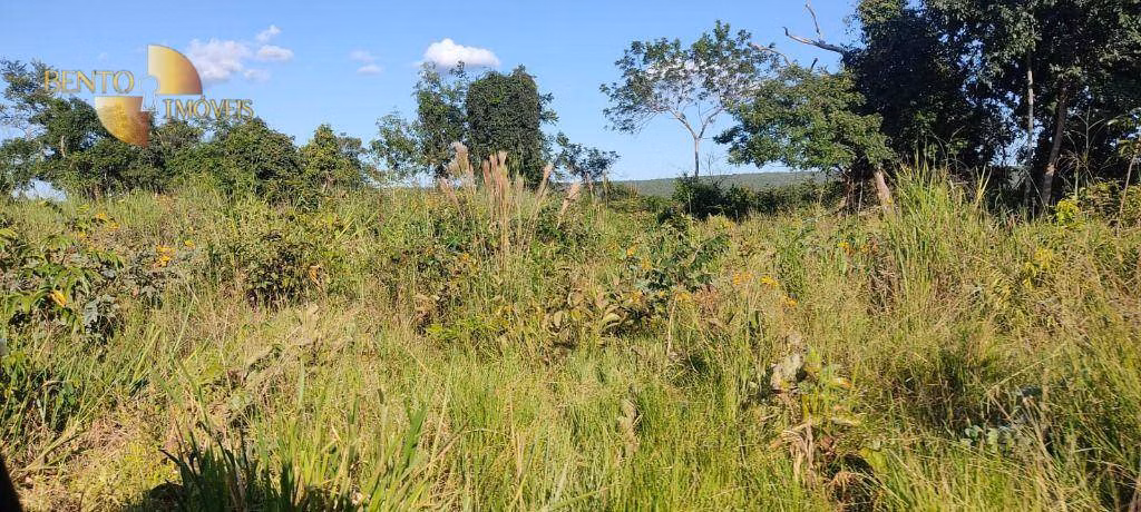 Fazenda de 277 ha em Diamantino, MT