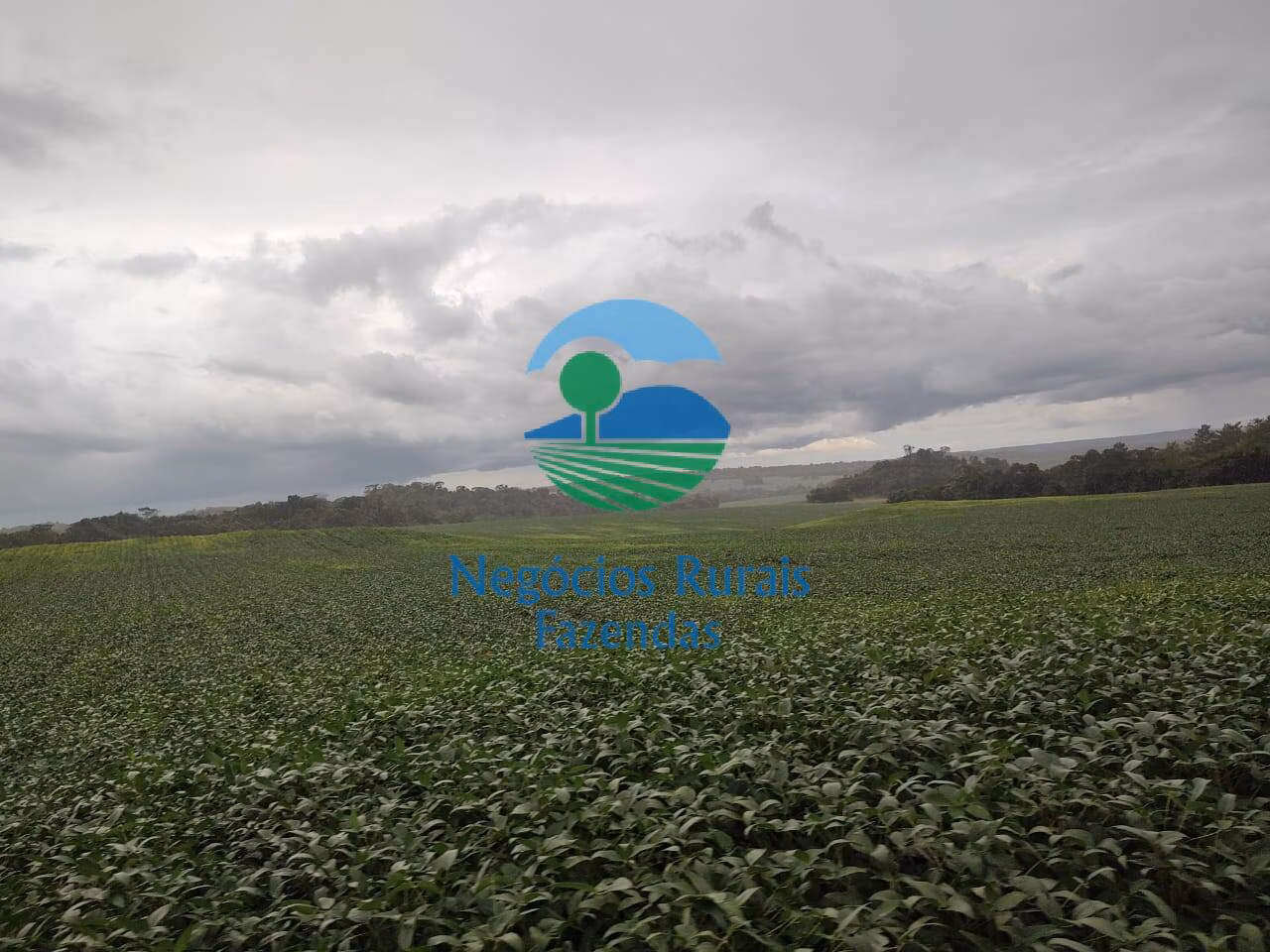 Fazenda de 3.204 ha em Araguaína, TO