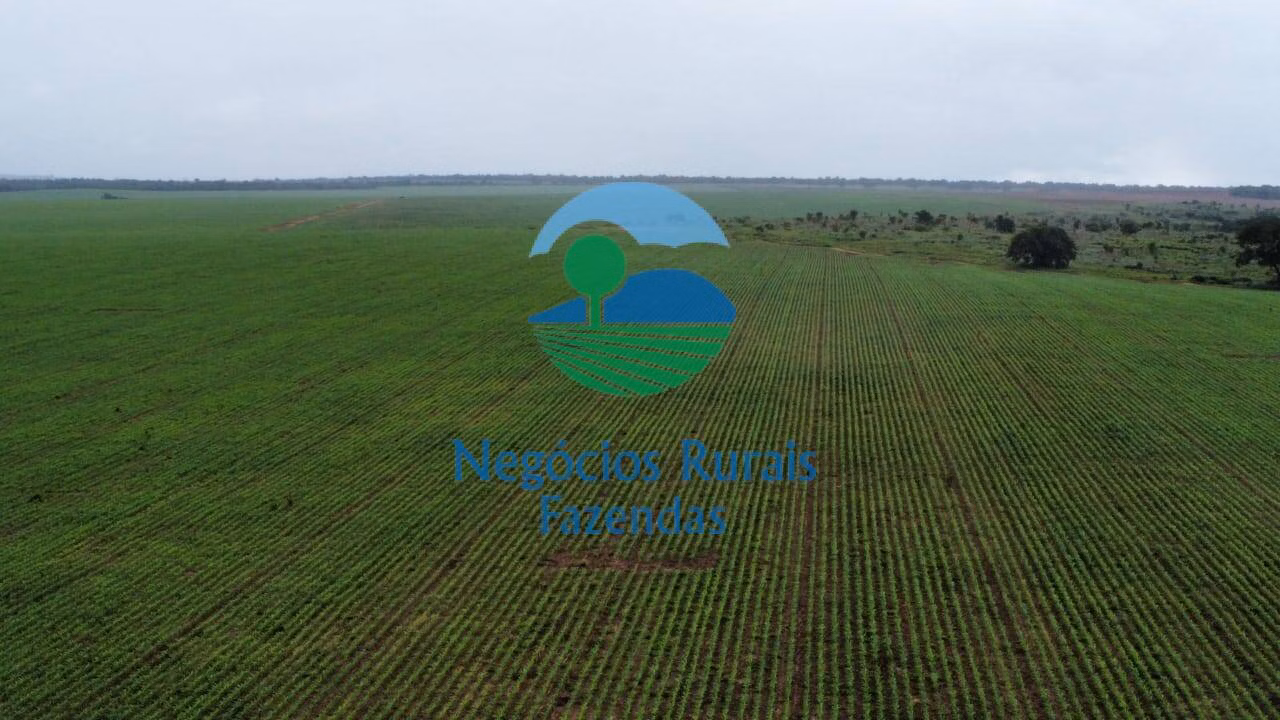 Fazenda de 3.204 ha em Araguaína, TO