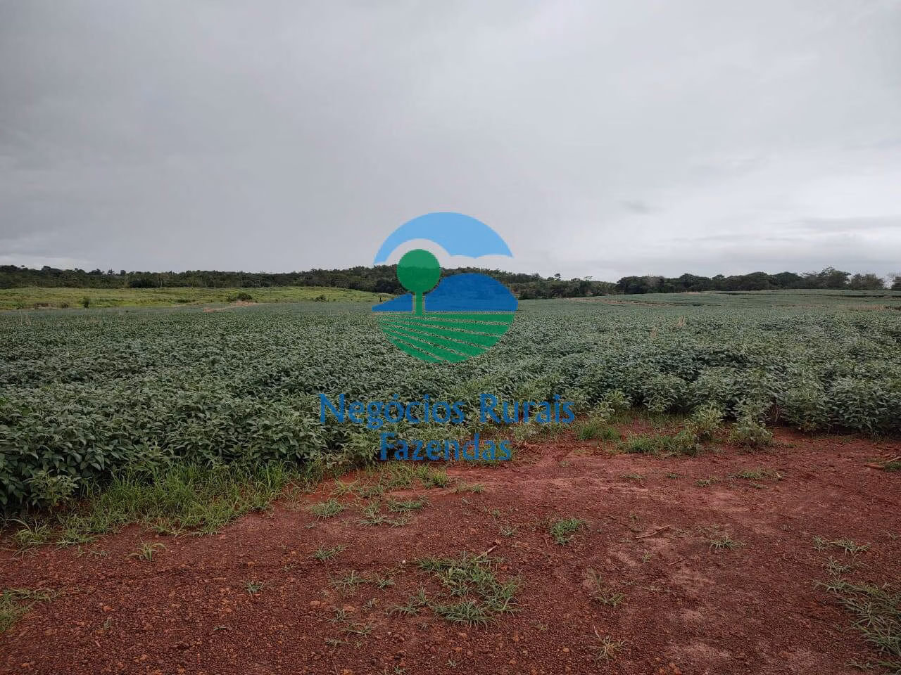 Fazenda de 3.204 ha em Araguaína, TO