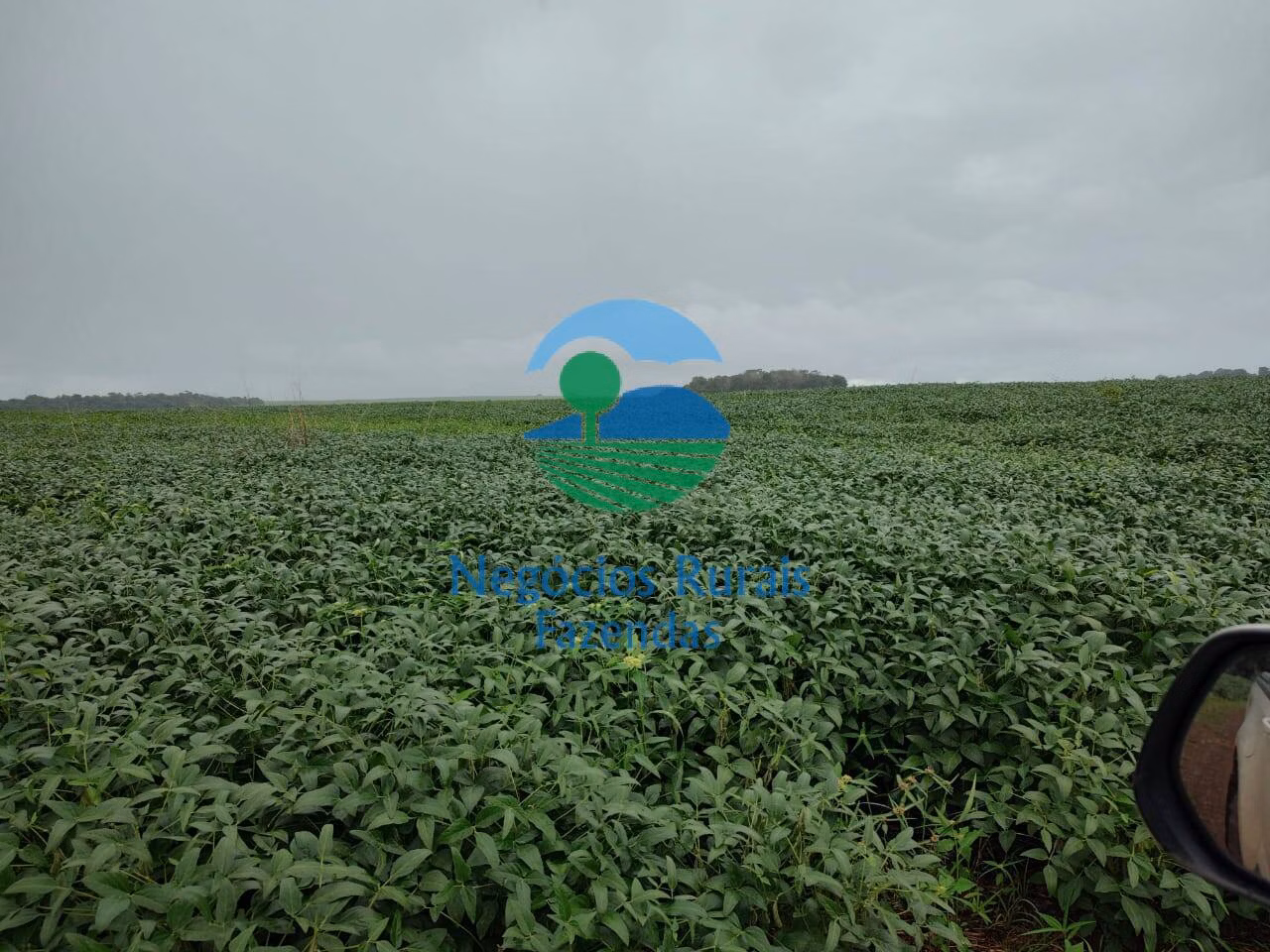 Fazenda de 3.204 ha em Araguaína, TO