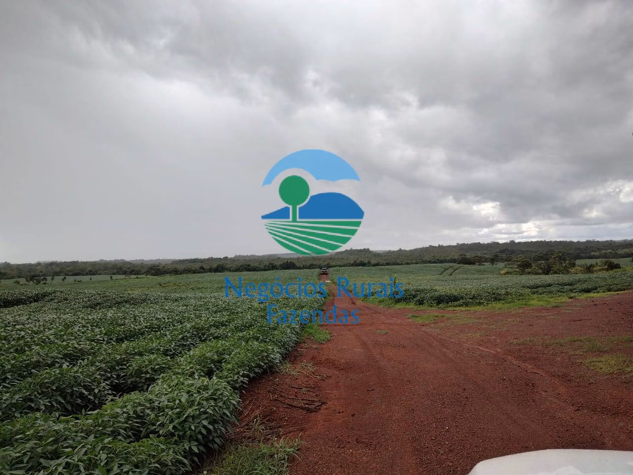 Fazenda de 3.204 ha em Araguaína, TO