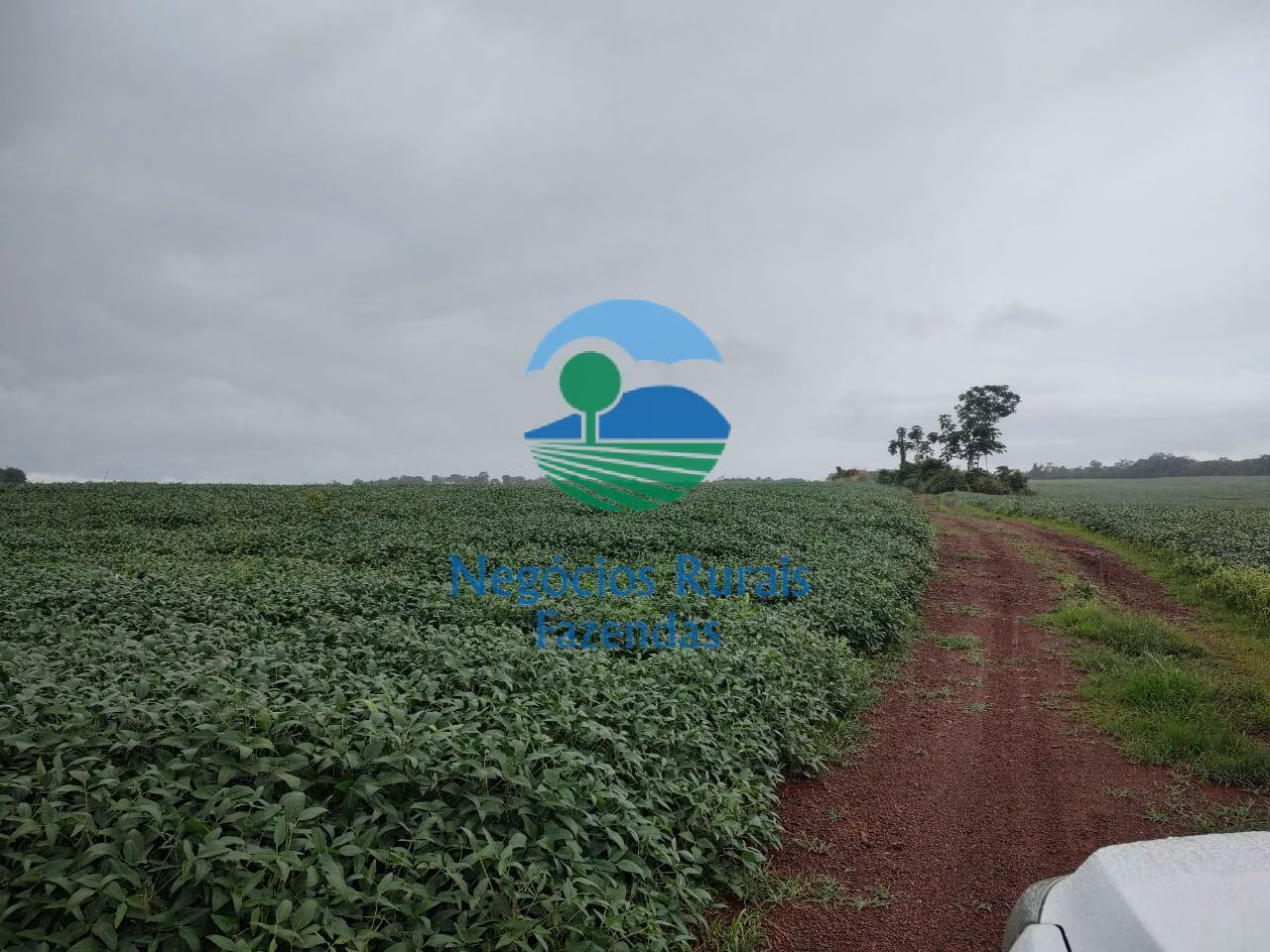 Fazenda de 3.204 ha em Araguaína, TO