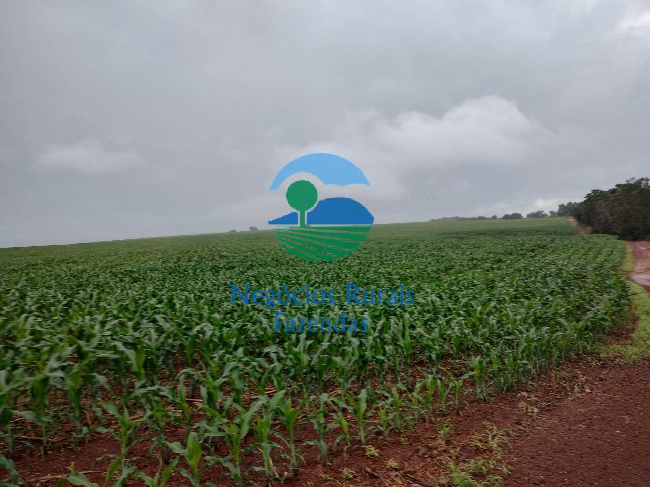 Fazenda de 3.204 ha em Araguaína, TO