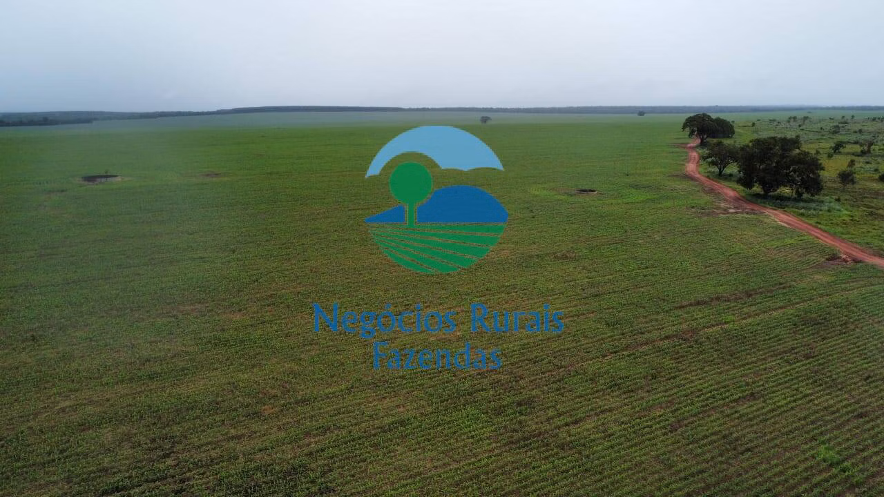 Fazenda de 3.204 ha em Araguaína, TO