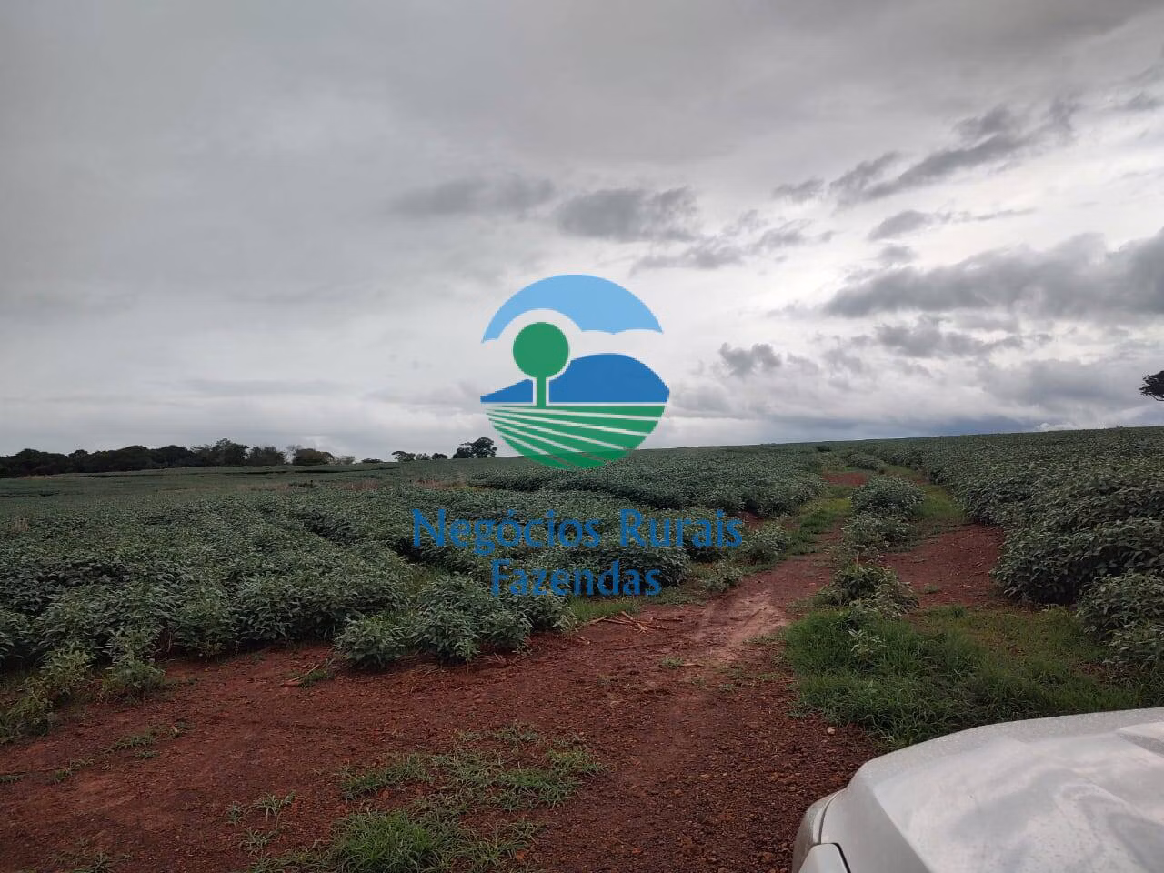 Fazenda de 3.204 ha em Araguaína, TO