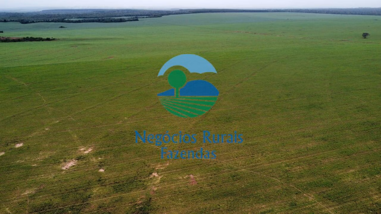 Fazenda de 3.204 ha em Araguaína, TO