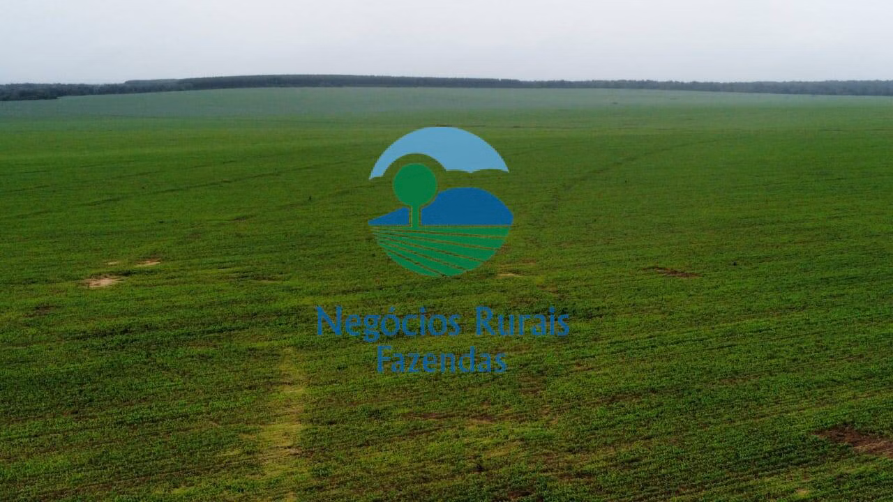 Fazenda de 3.204 ha em Araguaína, TO