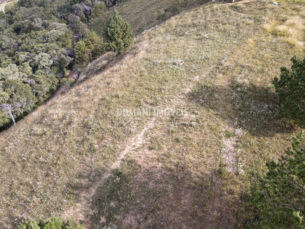 Plot of 1 acres in Campos do Jordão, SP, Brazil