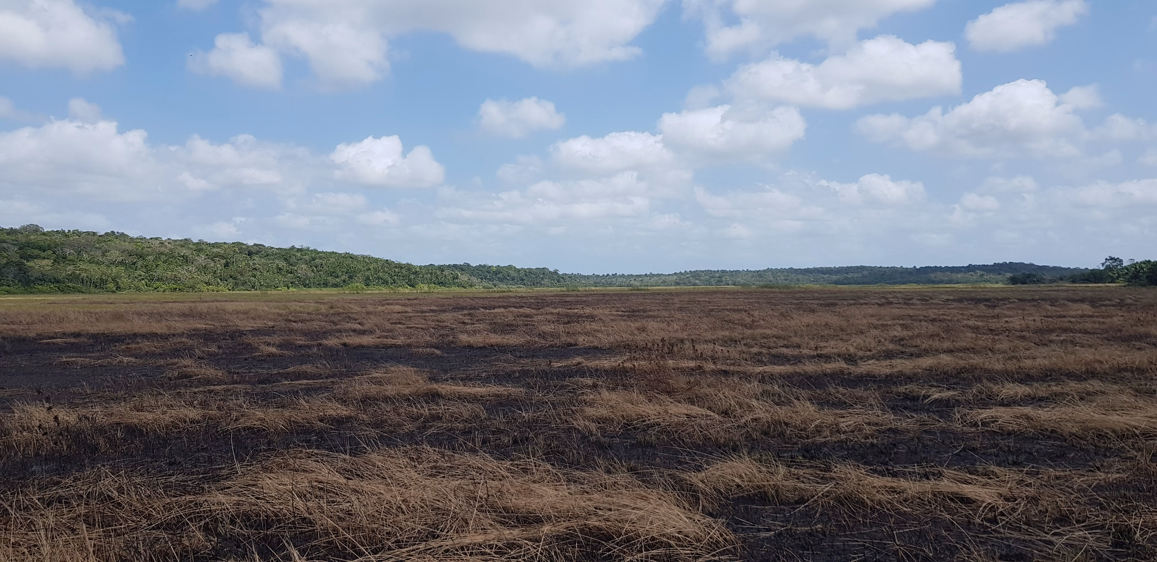 Farm of 1.233 acres in Bacuri, MA, Brazil