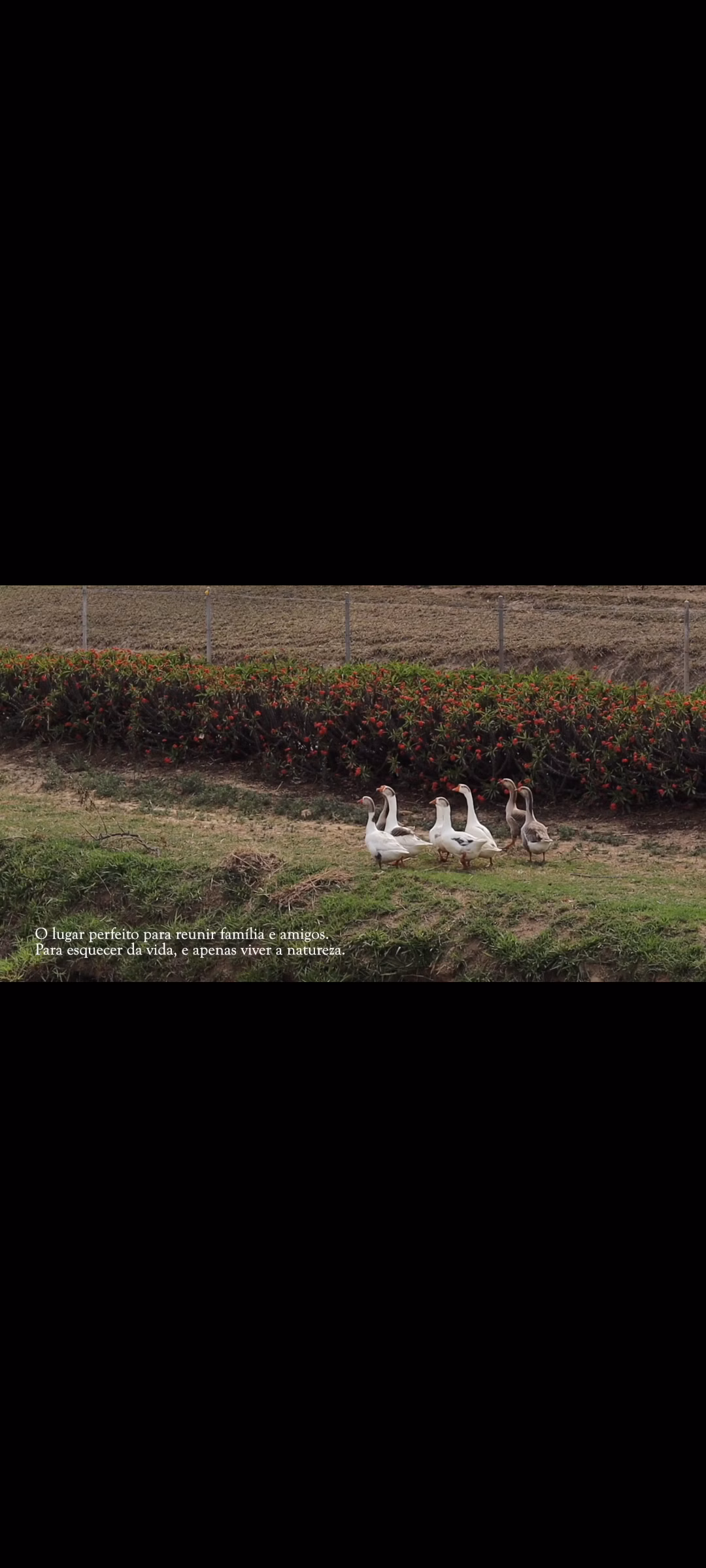 Farm of 239 acres in Rafard, SP, Brazil