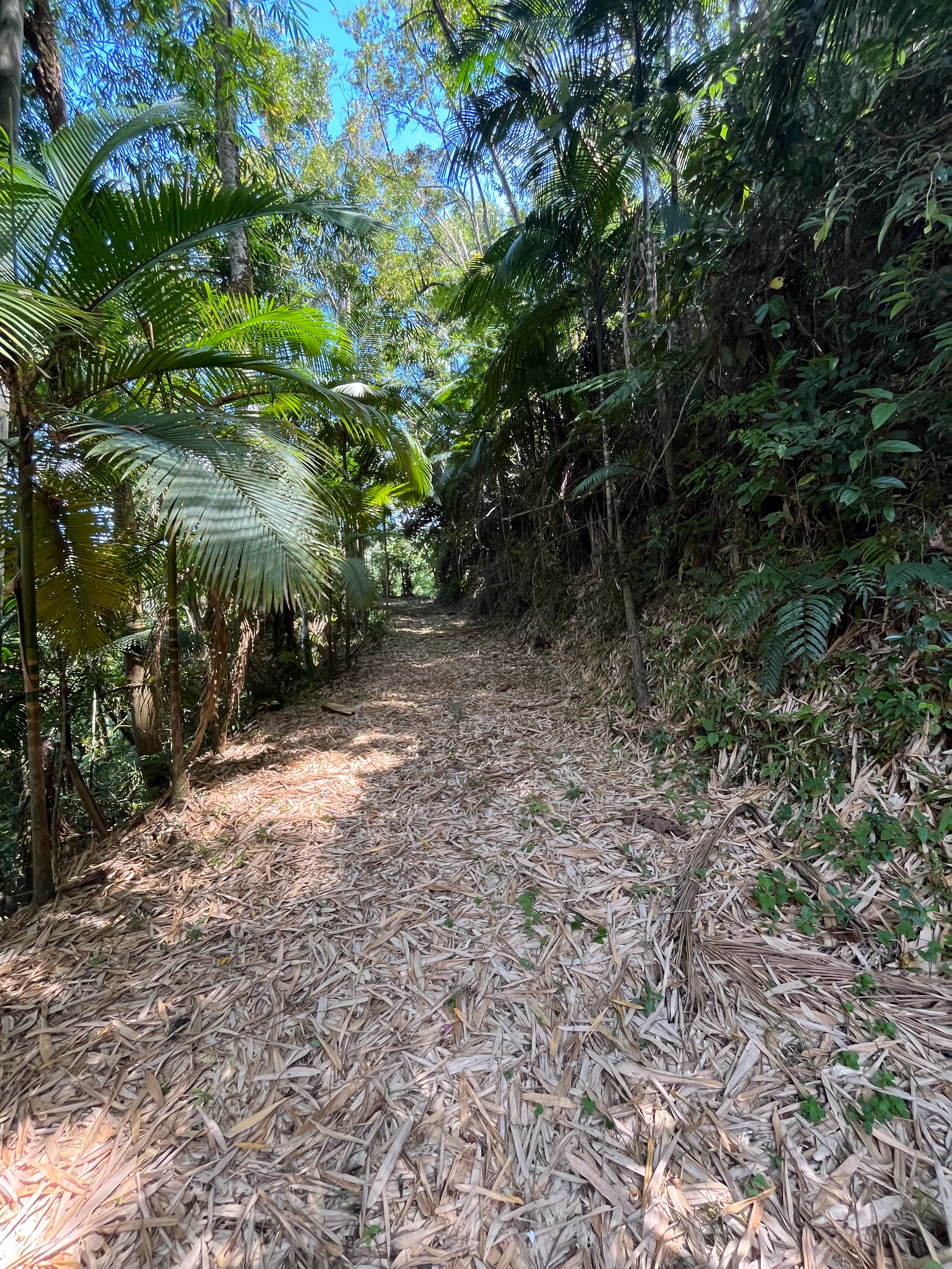 Small farm of 7 acres in Tapiraí, SP, Brazil