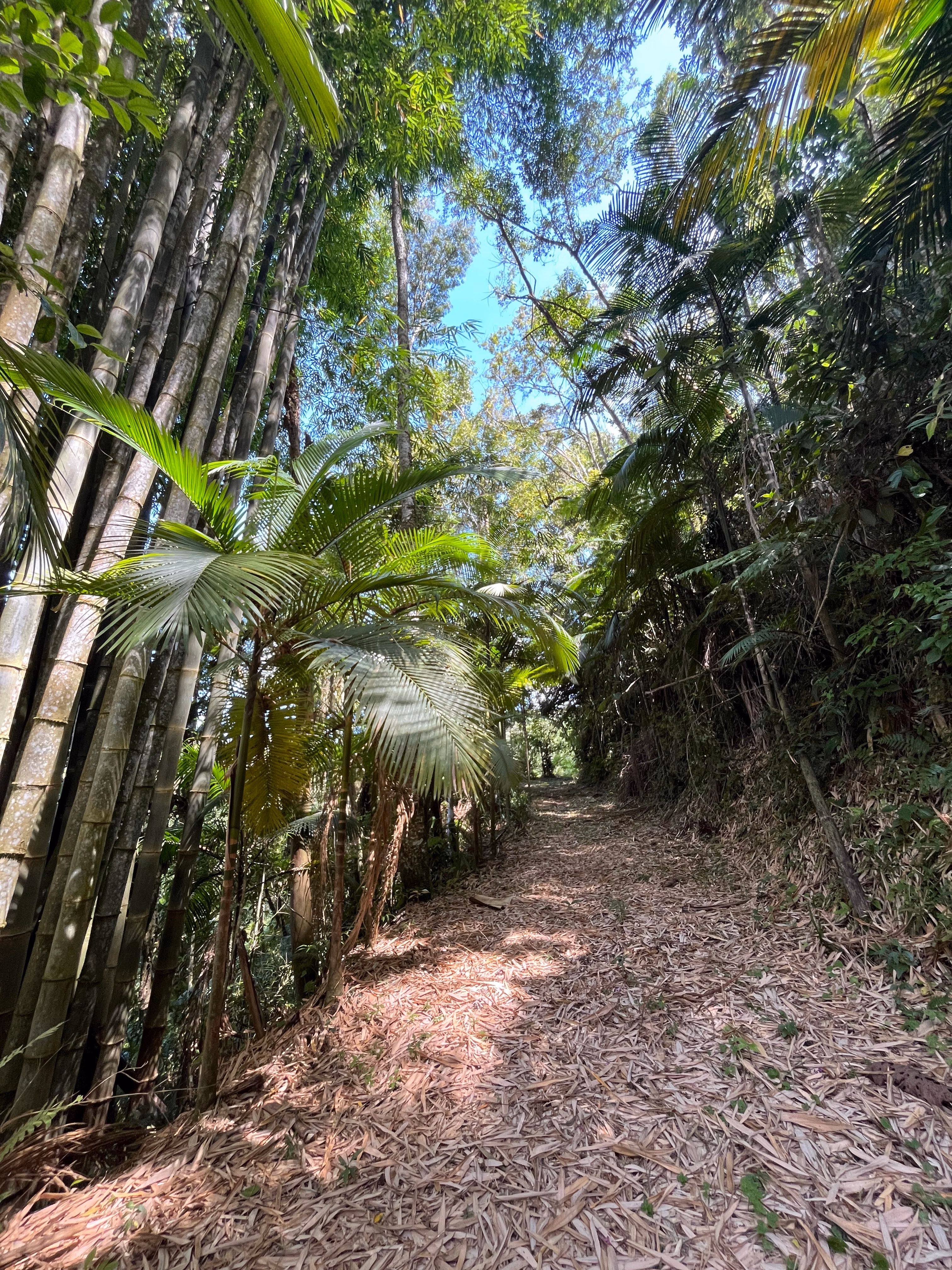 Small farm of 7 acres in Tapiraí, SP, Brazil