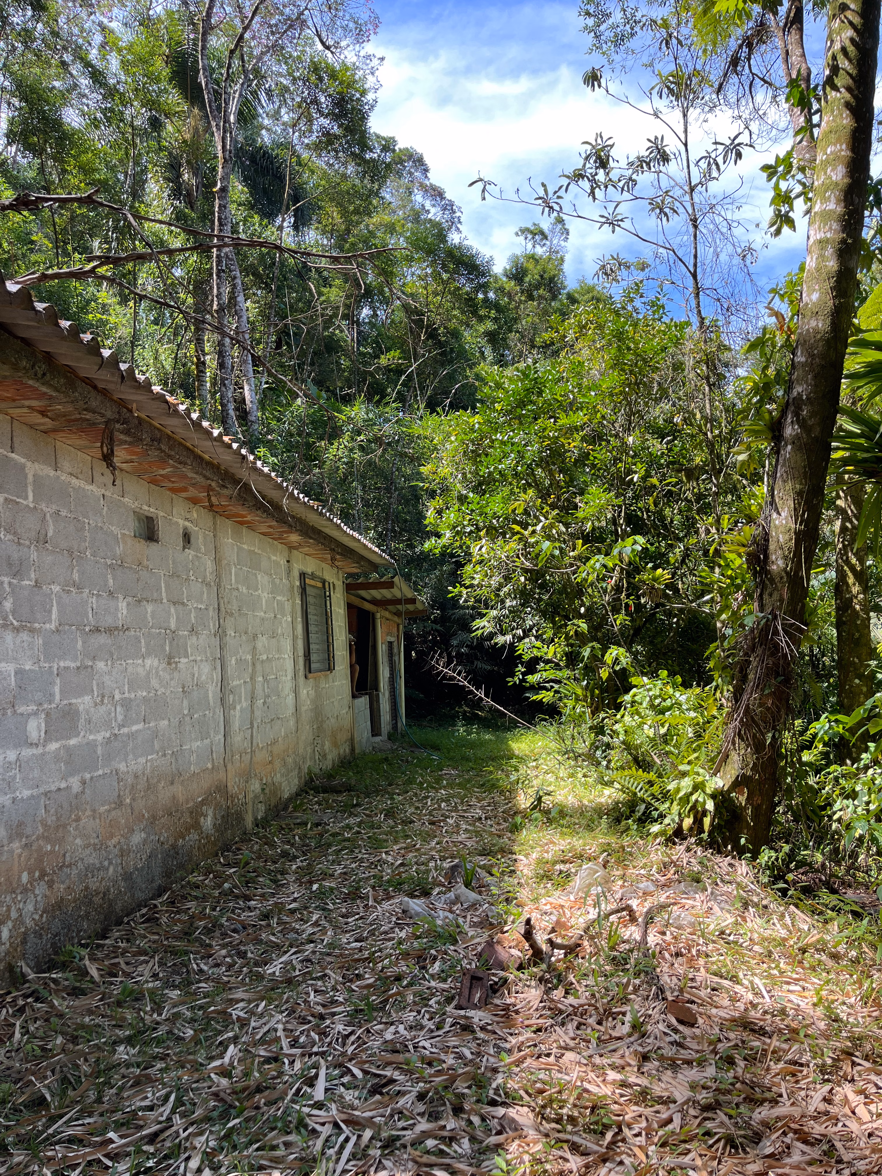 Small farm of 7 acres in Tapiraí, SP, Brazil