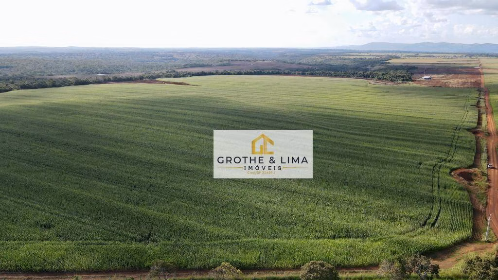 Fazenda de 708 ha em Paraíso do Tocantins, TO