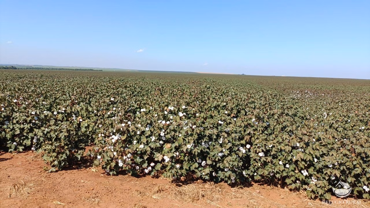 Fazenda de 600 ha em Jaciara, MT