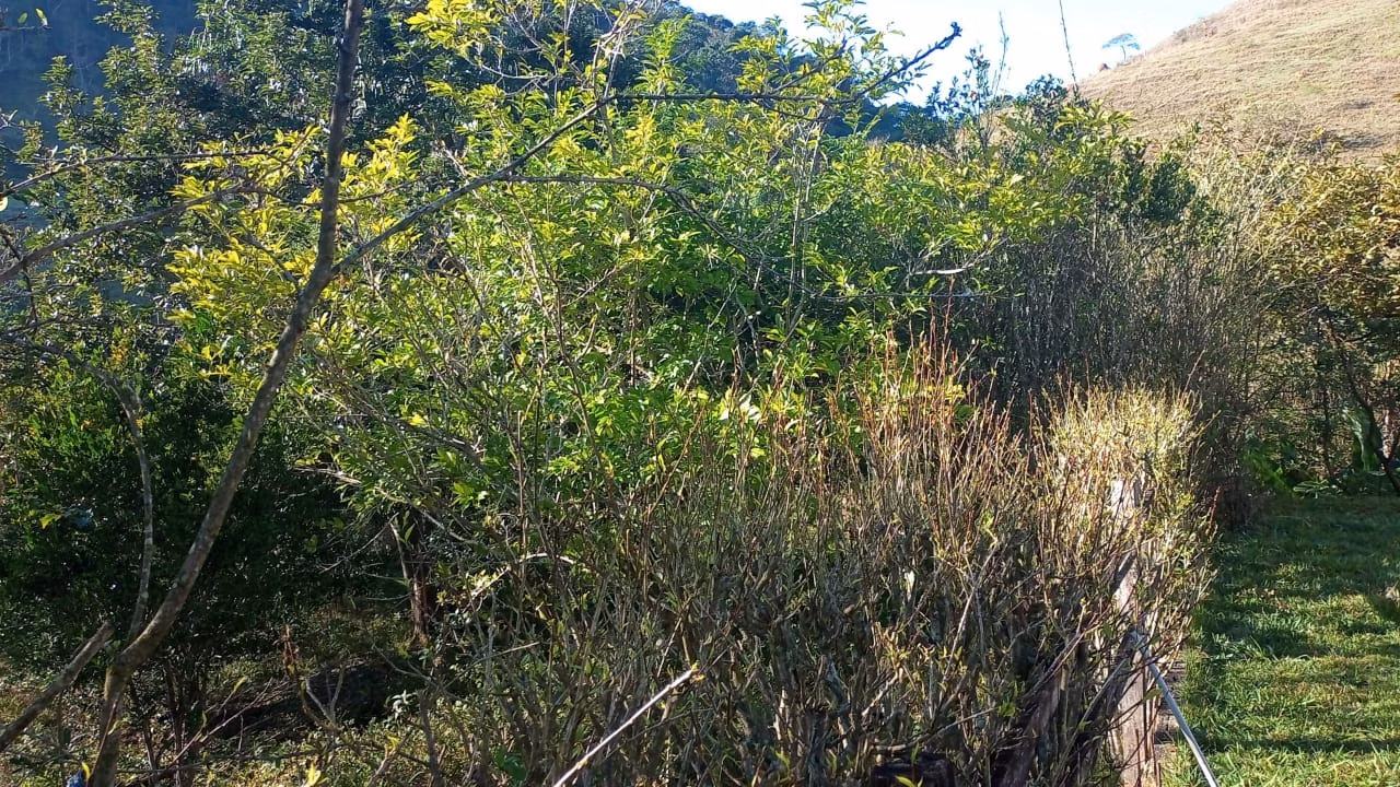 Sítio de 73 ha em São José dos Campos, SP