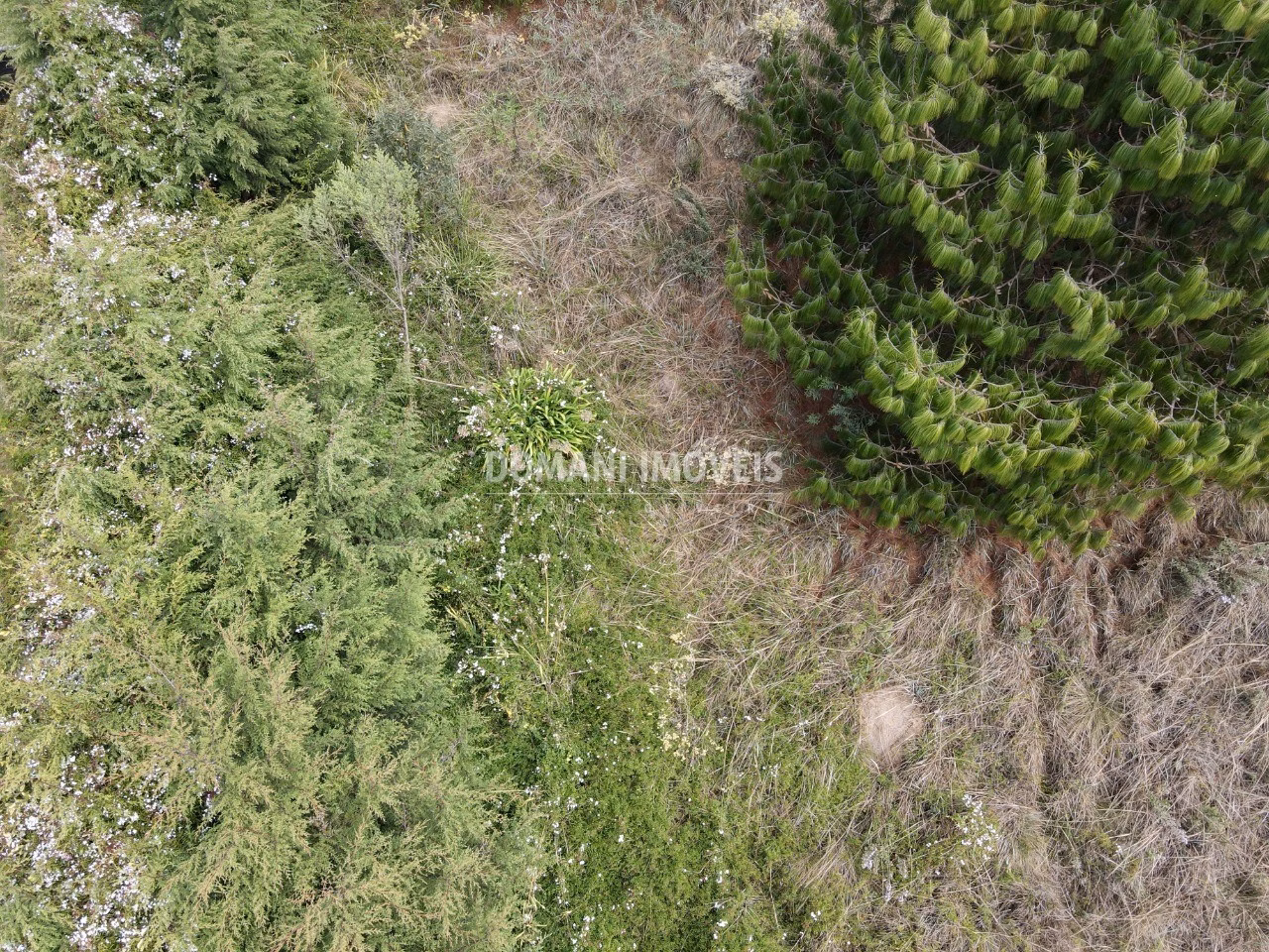 Terreno de 752 m² em Campos do Jordão, SP