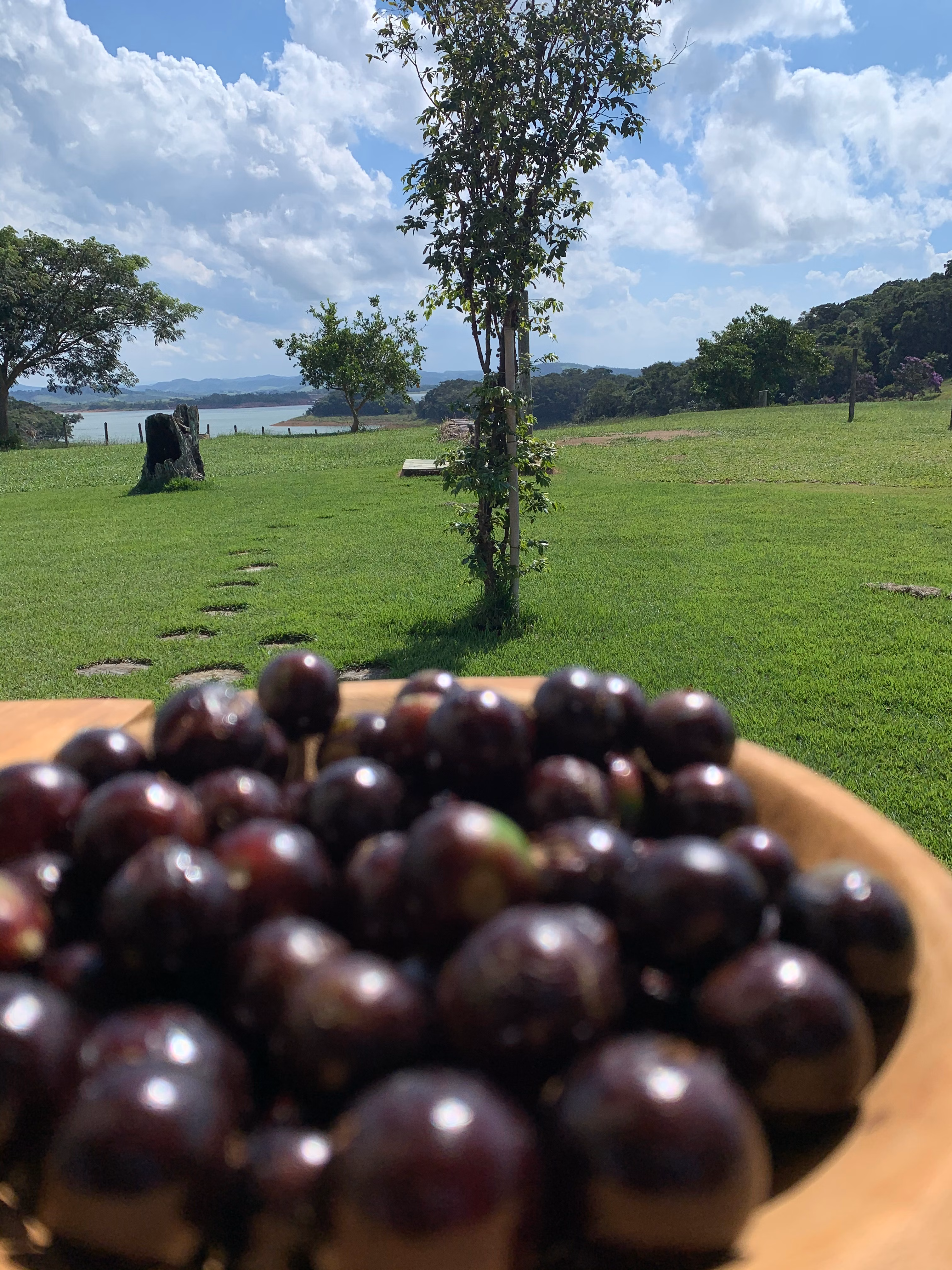 Chácara à venda de 3 ha em Paraibuna, SP