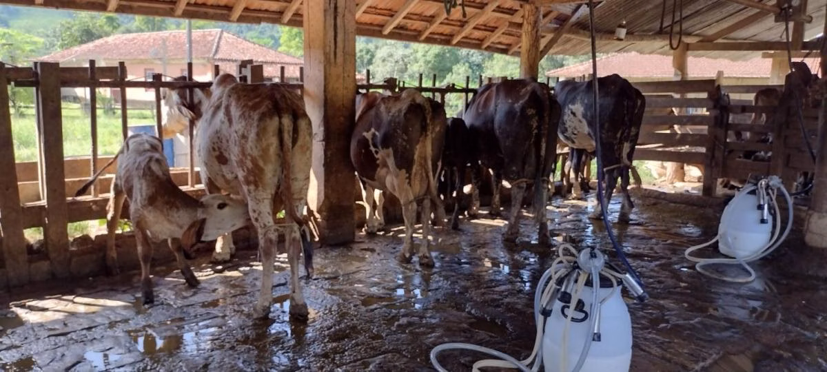 Fazenda à venda de 150 ha em Arapeí, SP