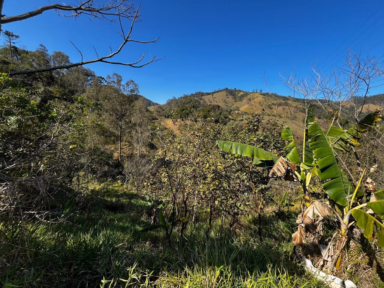 Sítio de 5 ha em Monteiro Lobato, SP