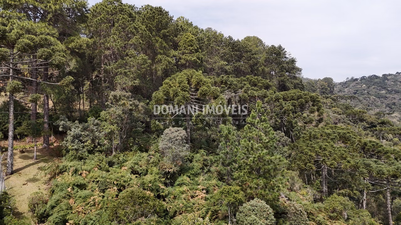 Terreno de 1.060 m² em Campos do Jordão, SP