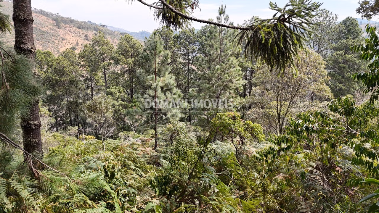 Terreno de 1.060 m² em Campos do Jordão, SP