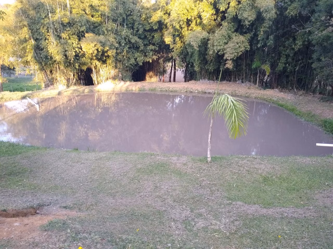 Chácara de 1 ha em Bragança Paulista, SP