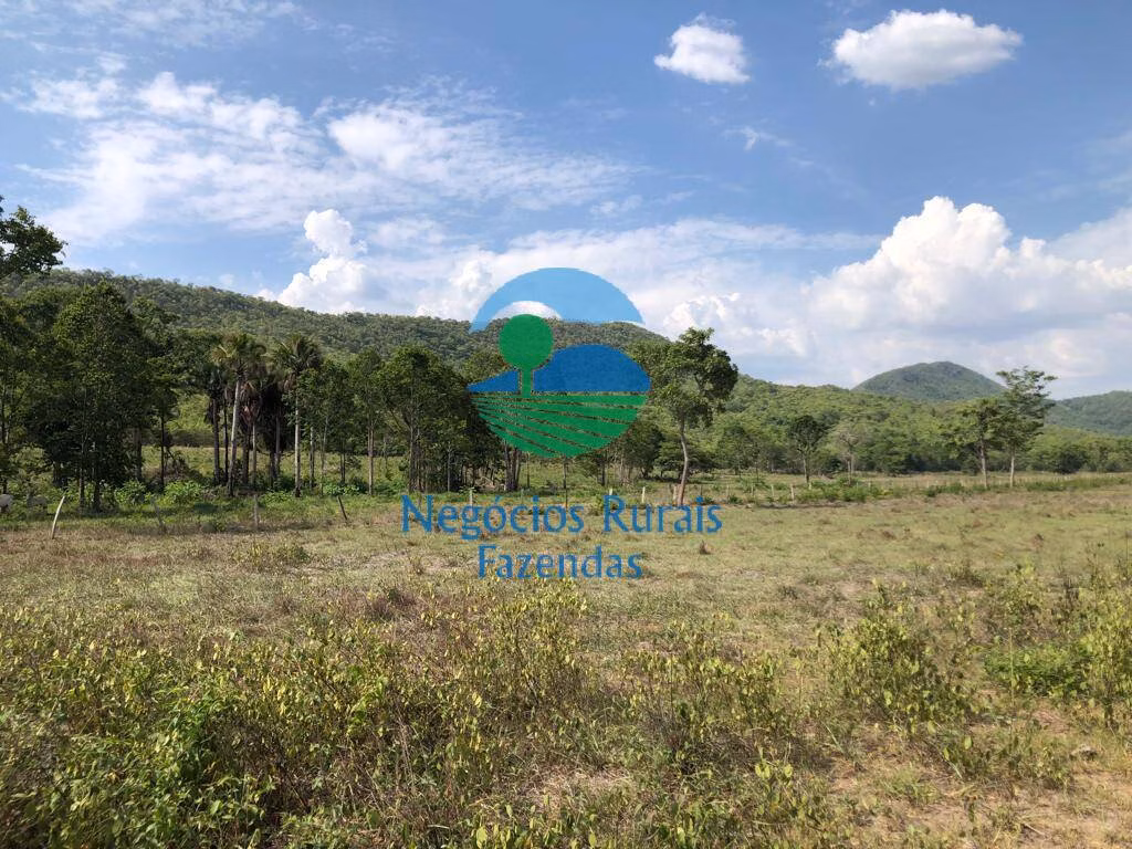 Fazenda de 484 ha em Jaú do Tocantins, TO