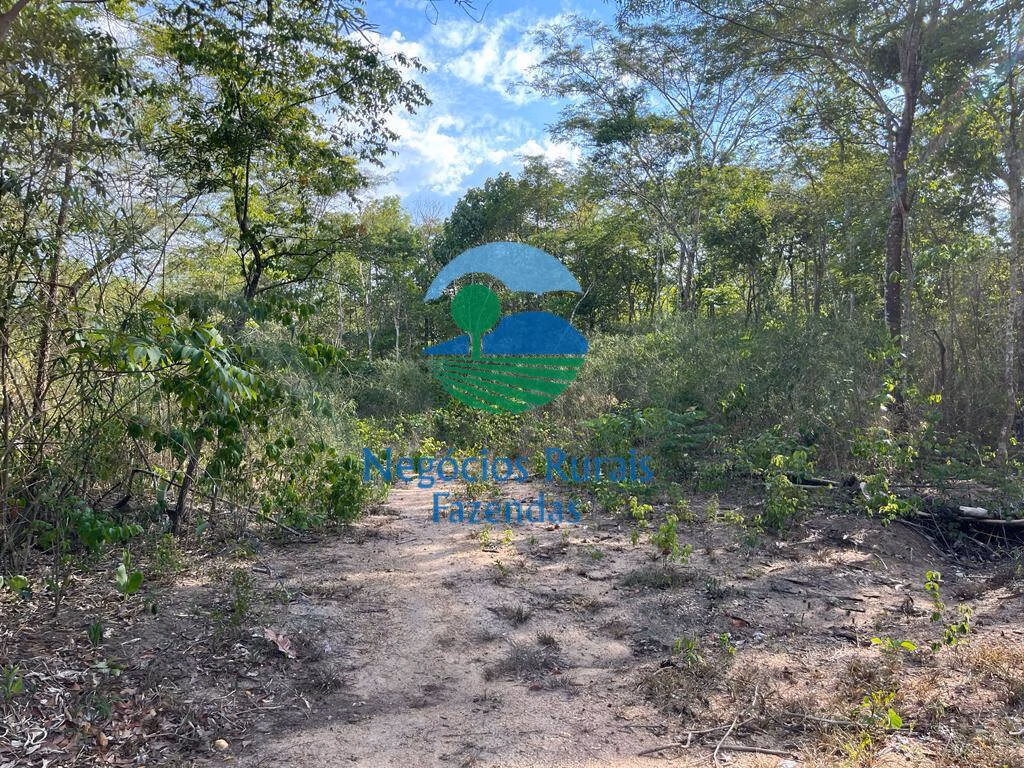 Fazenda de 484 ha em Jaú do Tocantins, TO