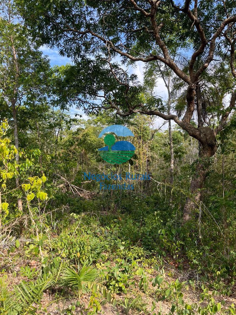 Fazenda de 484 ha em Jaú do Tocantins, TO