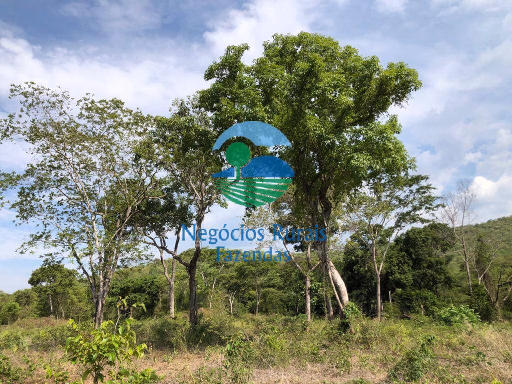 Fazenda de 484 ha em Jaú do Tocantins, TO