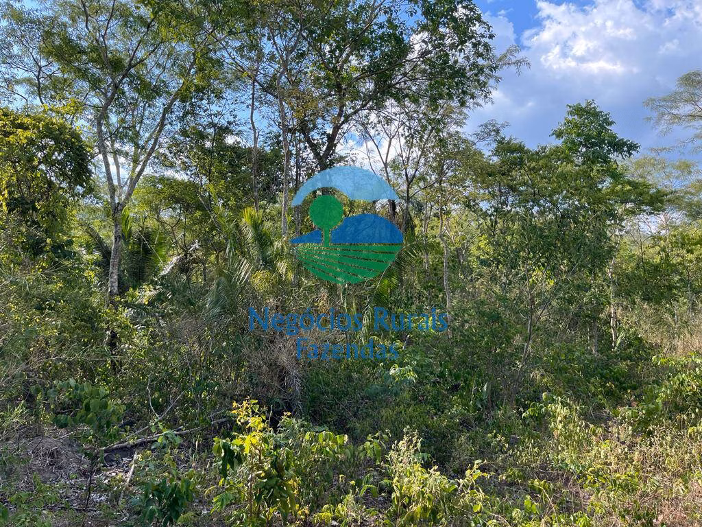 Fazenda de 484 ha em Jaú do Tocantins, TO