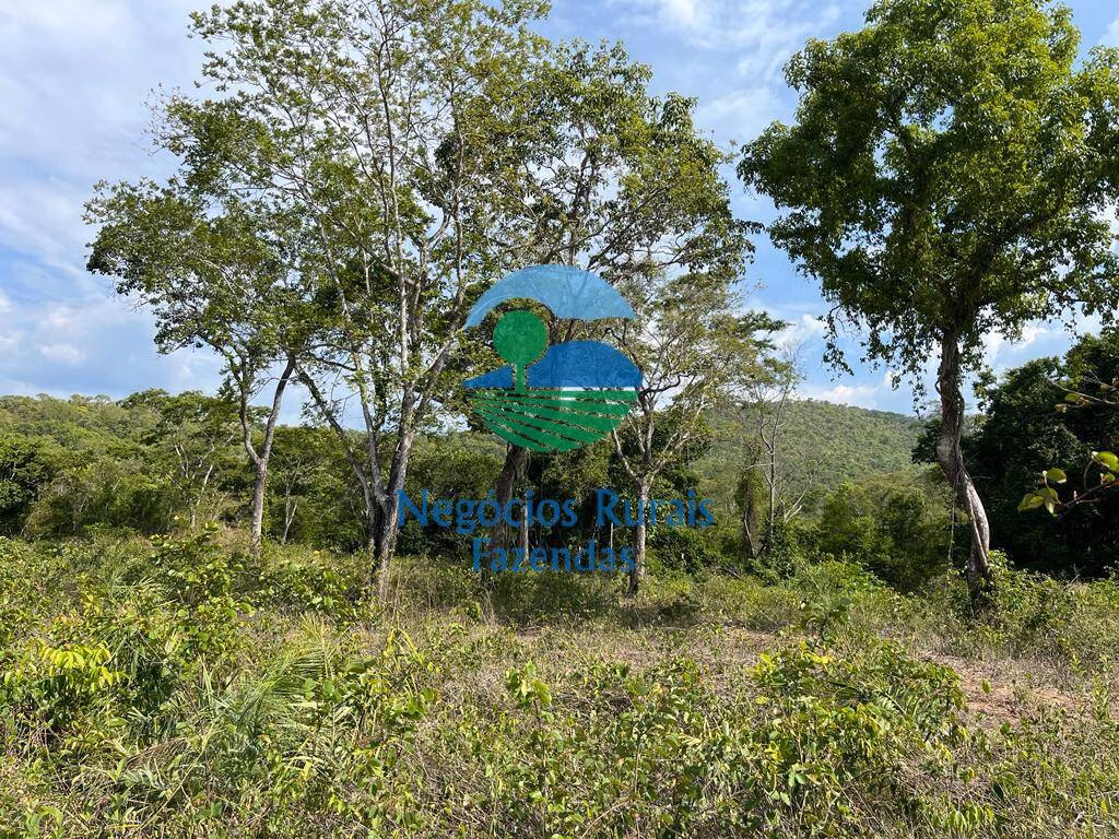 Farm of 1.196 acres in Jaú do Tocantins, TO, Brazil