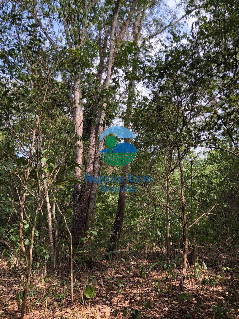 Fazenda de 484 ha em Jaú do Tocantins, TO