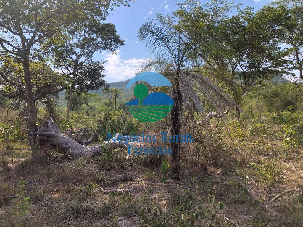 Fazenda de 484 ha em Jaú do Tocantins, TO