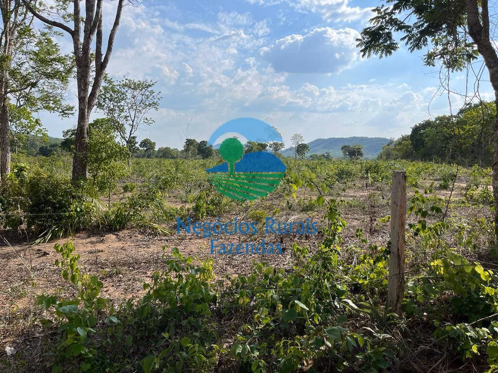 Fazenda de 484 ha em Jaú do Tocantins, TO