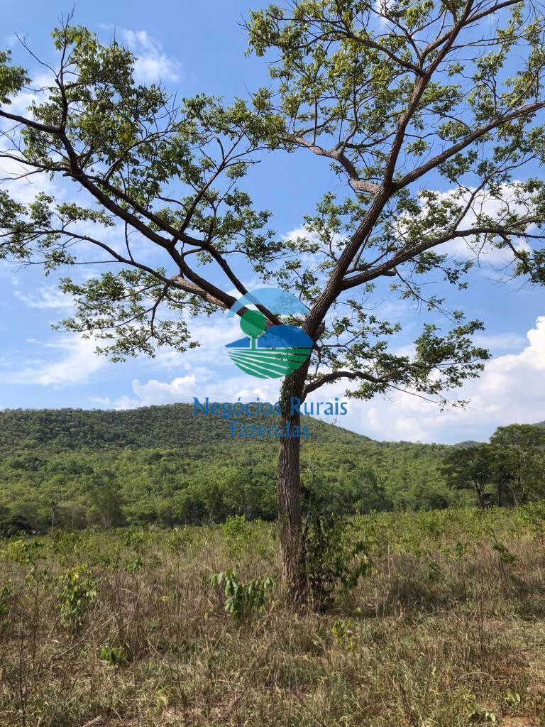 Farm of 1.196 acres in Jaú do Tocantins, TO, Brazil