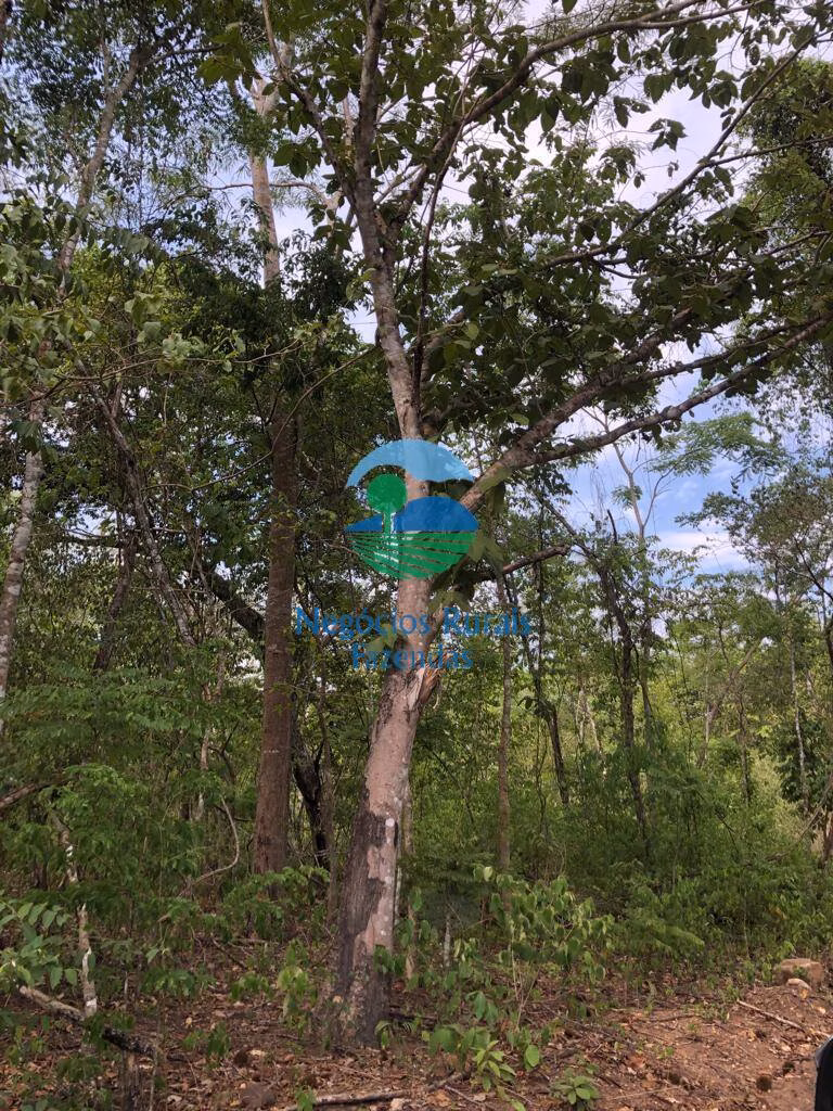 Fazenda de 484 ha em Jaú do Tocantins, TO