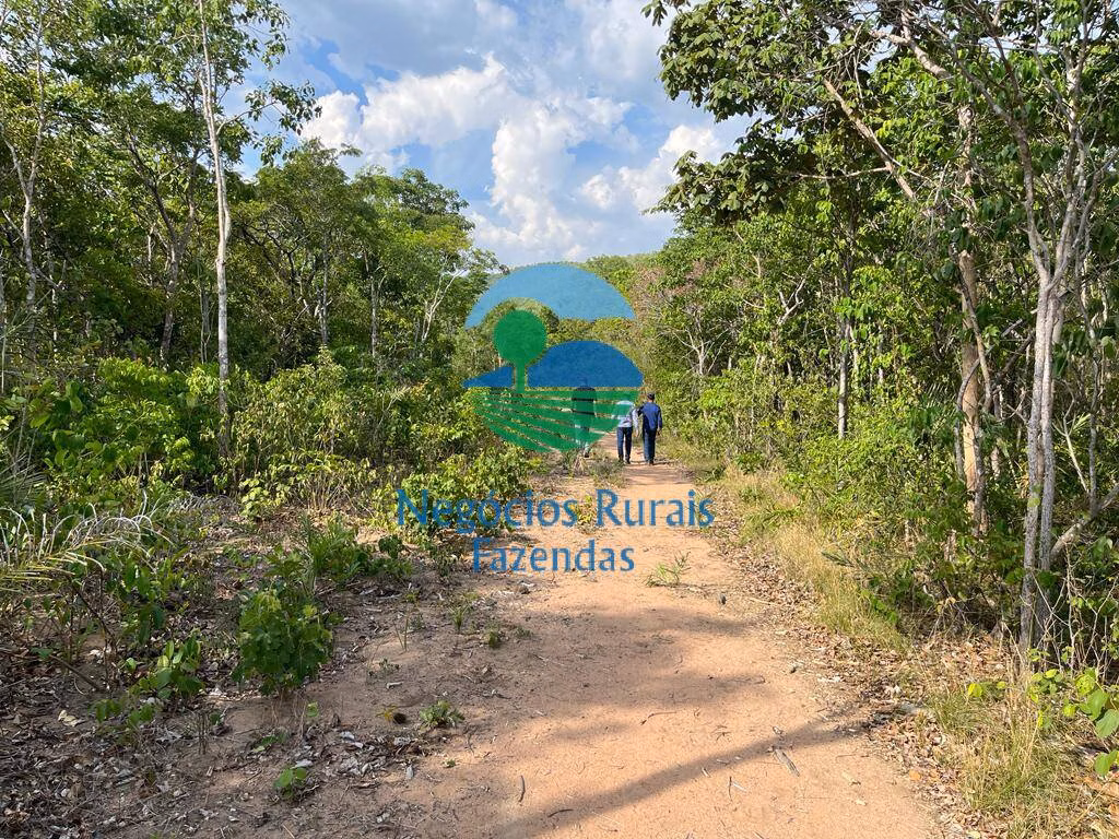 Farm of 1.196 acres in Jaú do Tocantins, TO, Brazil