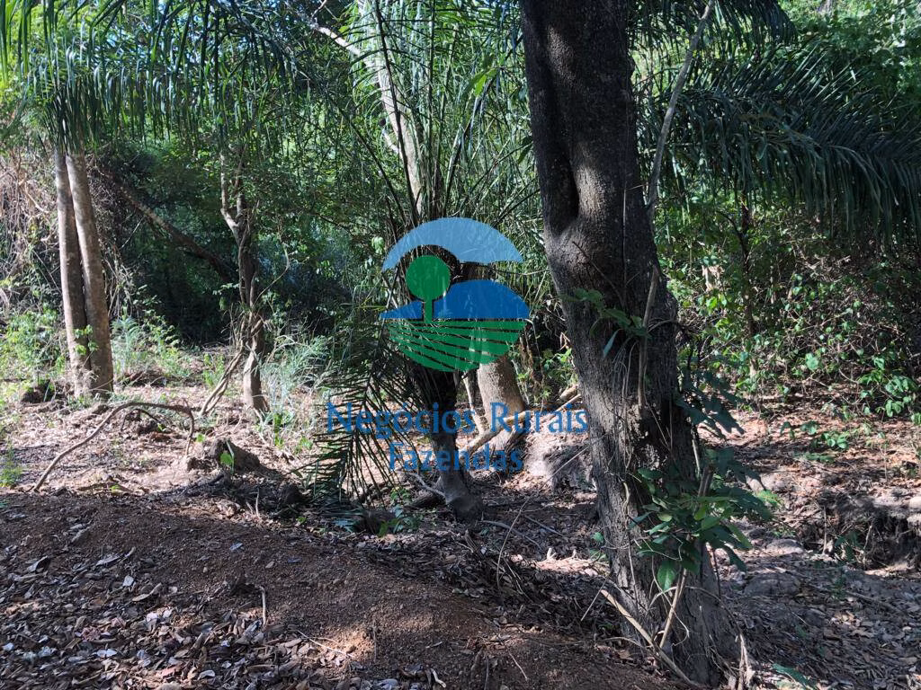 Farm of 1.196 acres in Jaú do Tocantins, TO, Brazil