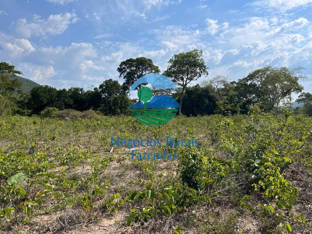 Farm of 1.196 acres in Jaú do Tocantins, TO, Brazil