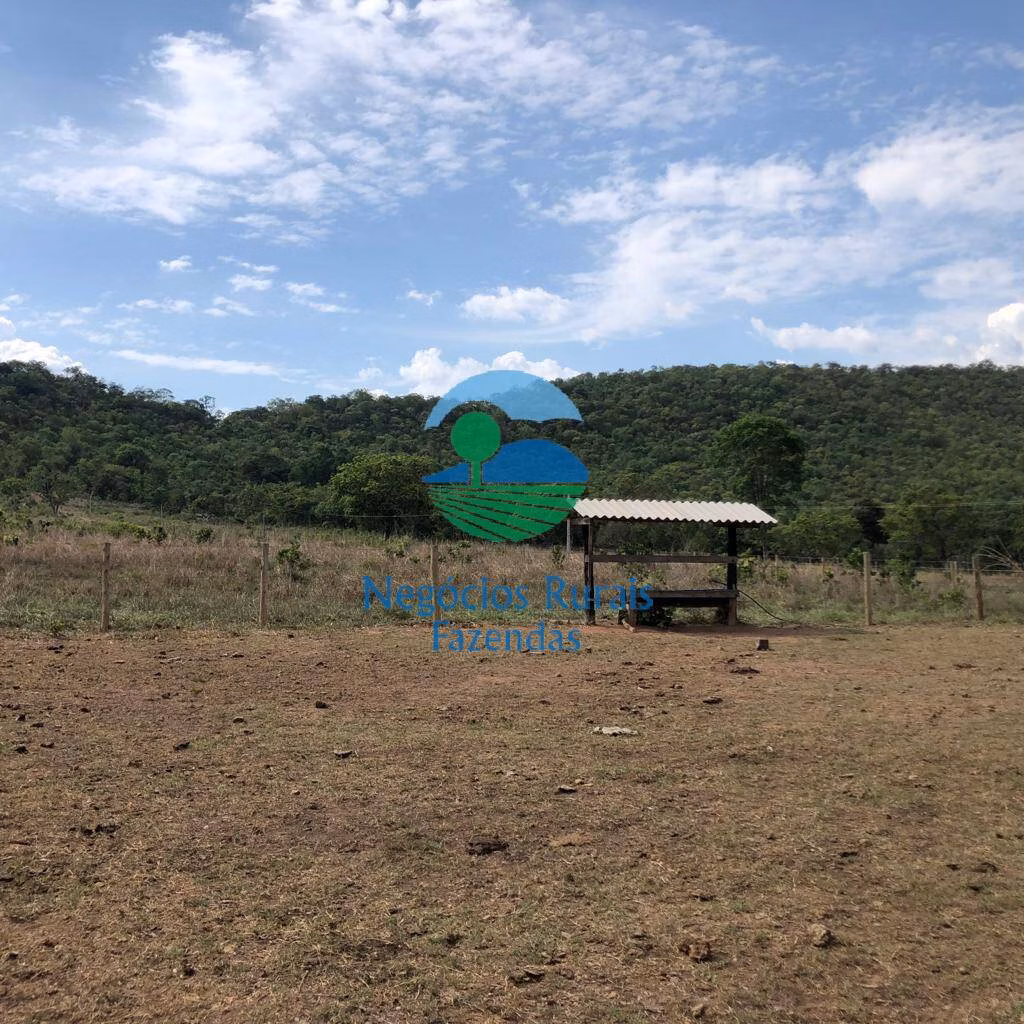 Fazenda de 484 ha em Jaú do Tocantins, TO