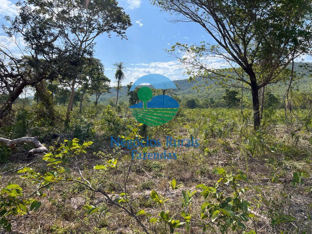Fazenda de 484 ha em Jaú do Tocantins, TO