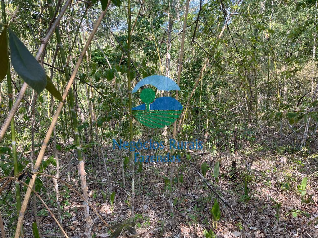 Fazenda de 484 ha em Jaú do Tocantins, TO