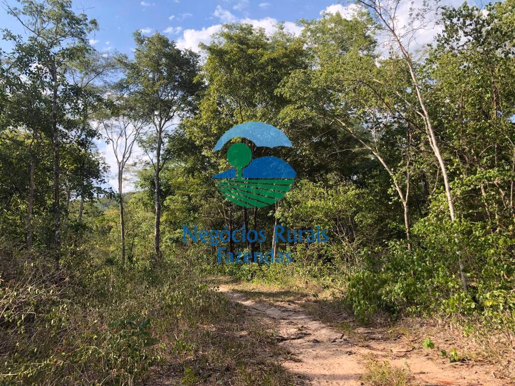 Fazenda de 484 ha em Jaú do Tocantins, TO